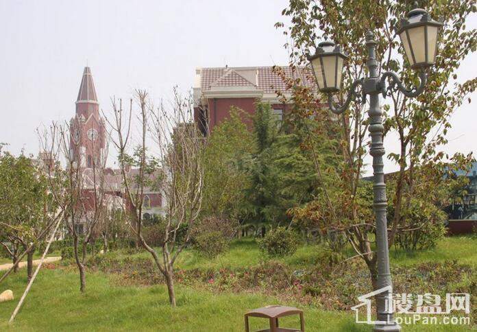 天房美郡国际城实景图