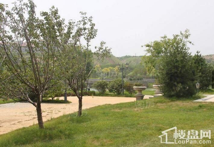 天房美郡国际城实景图