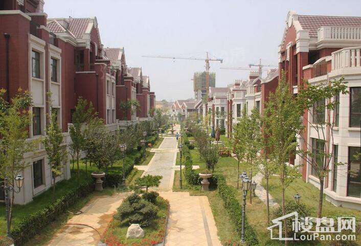 天房美郡国际城实景图