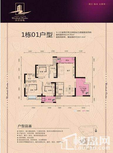 户型图片