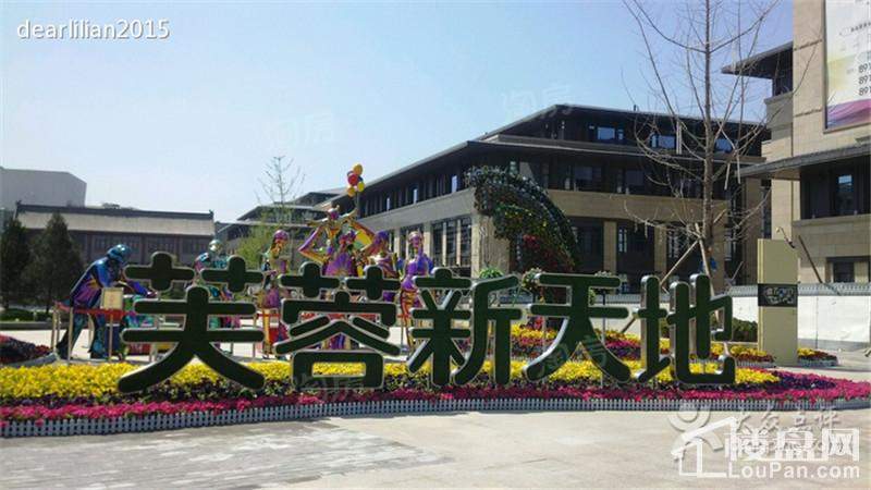 金地南湖艺境配套图