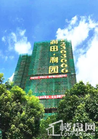 润田·利园实景图