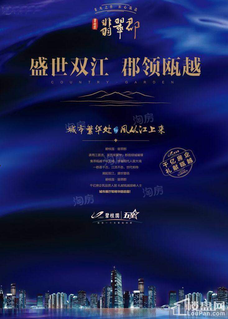 碧桂园·翡翠郡效果图