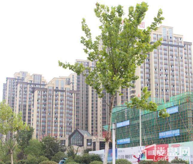 融侨悦城实景图