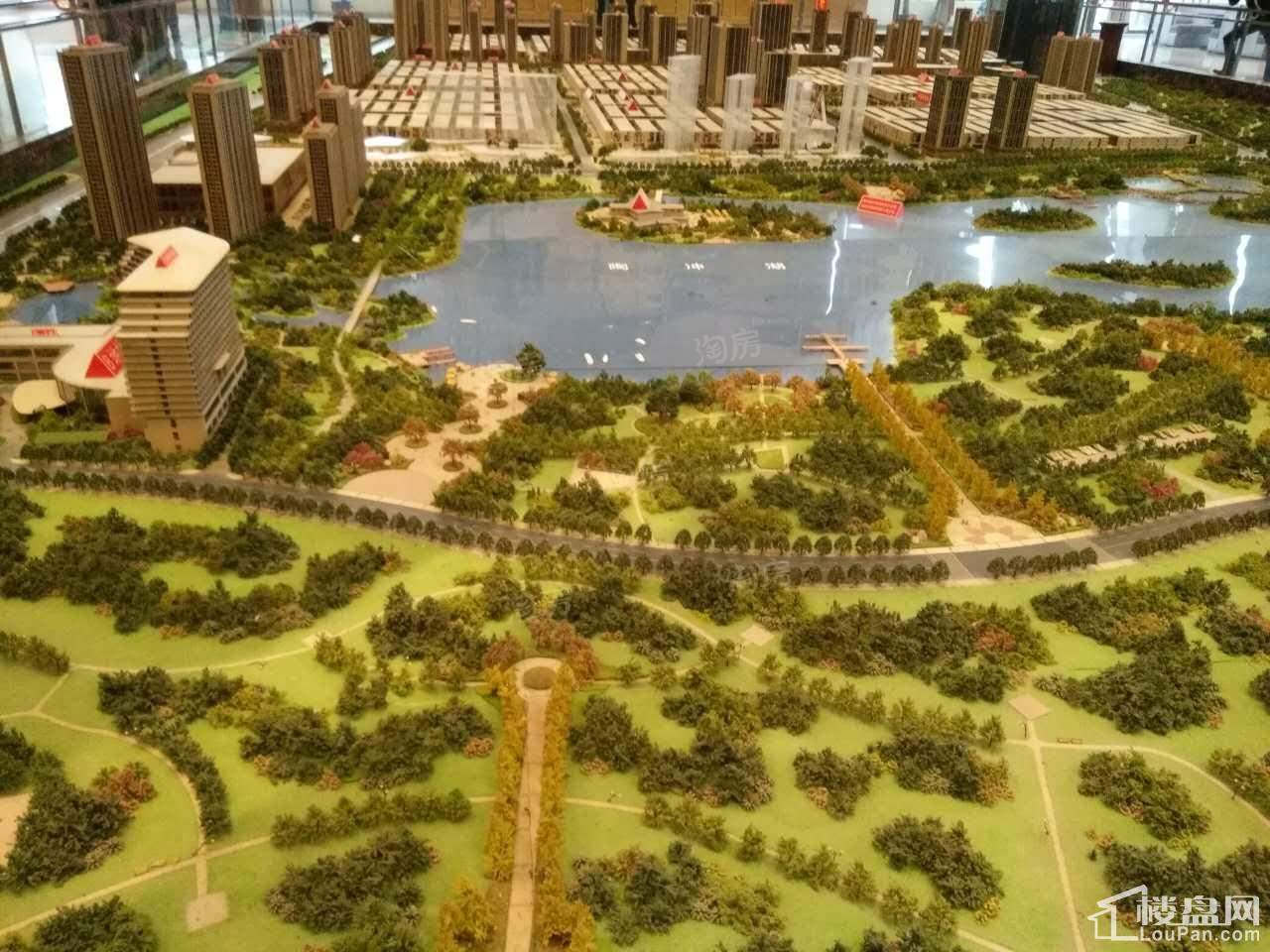 实景图