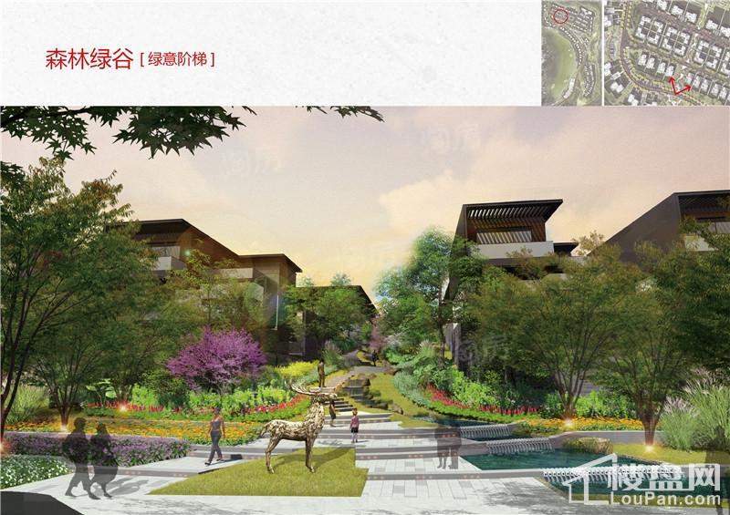 保利公园2010效果图