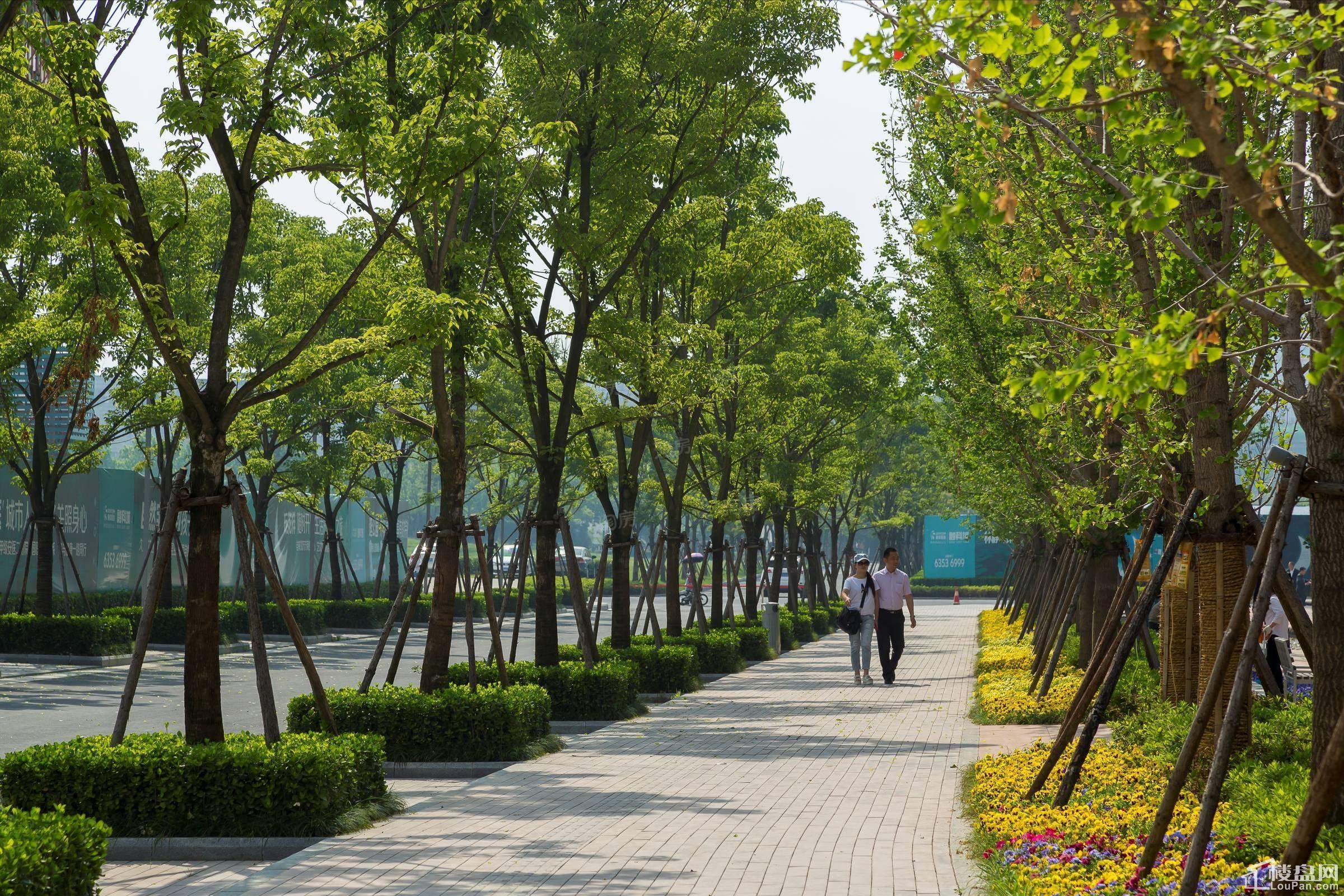 融科城实景图