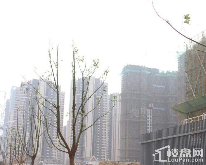 滨湖宝文中心实景图