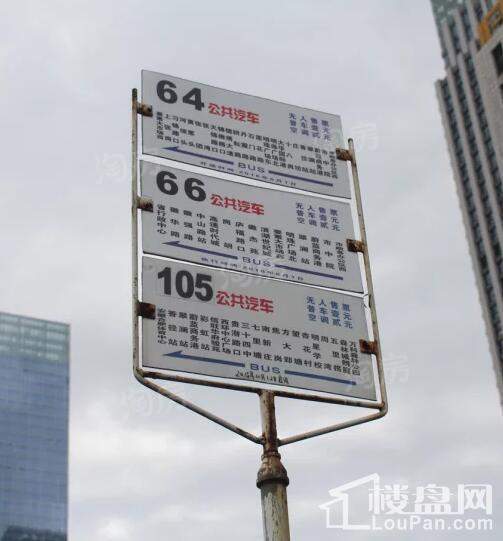 实景图