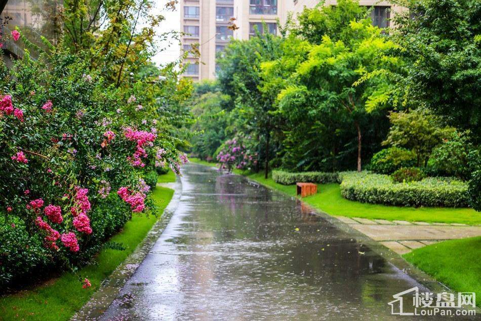 恒基都市森林实景图