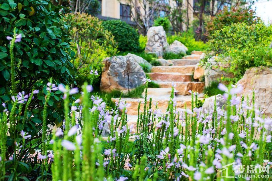 恒基都市森林实景图