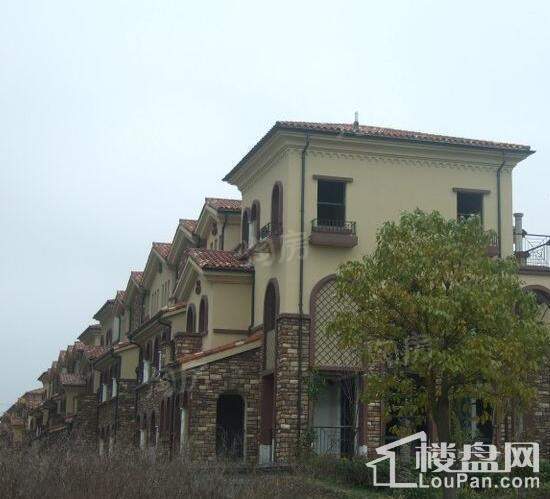 实景图