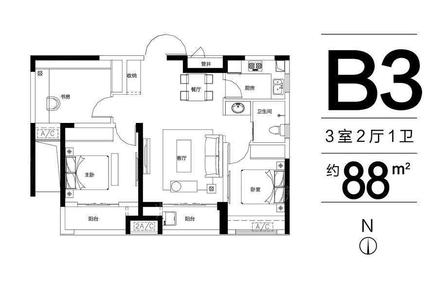 B3