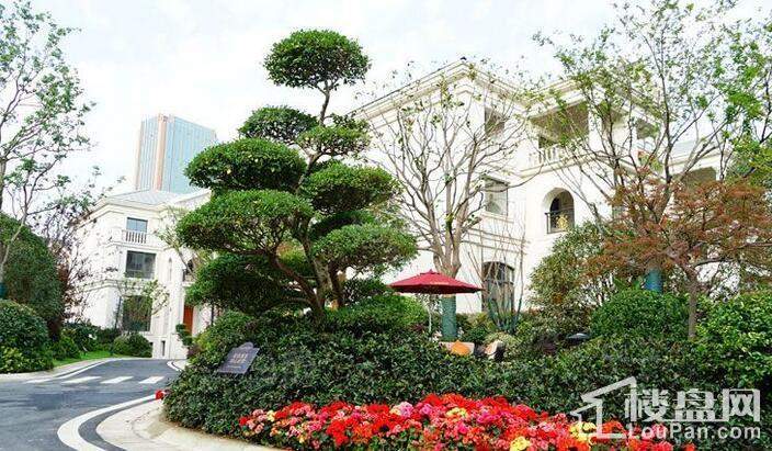 金科半岛1号实景图