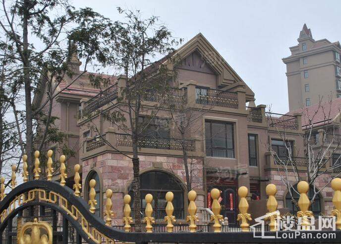 金科半岛1号实景图