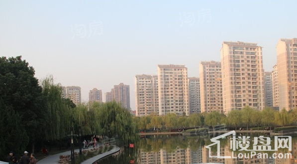 实景图