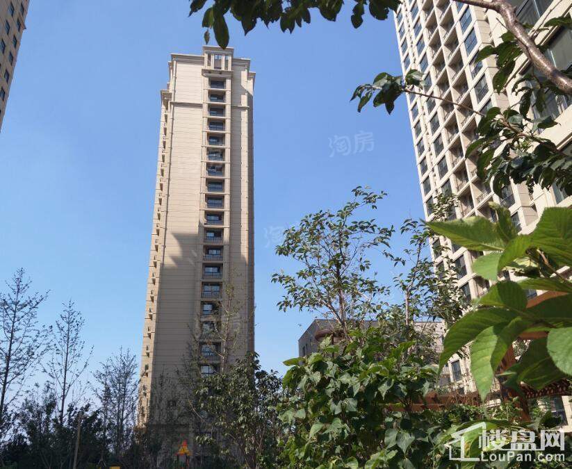 安居金域缇香3期实景图