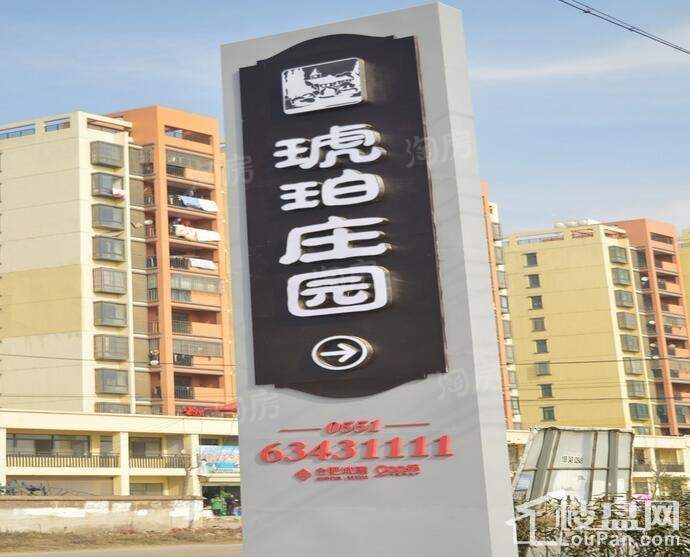 城建琥珀庄园实景图