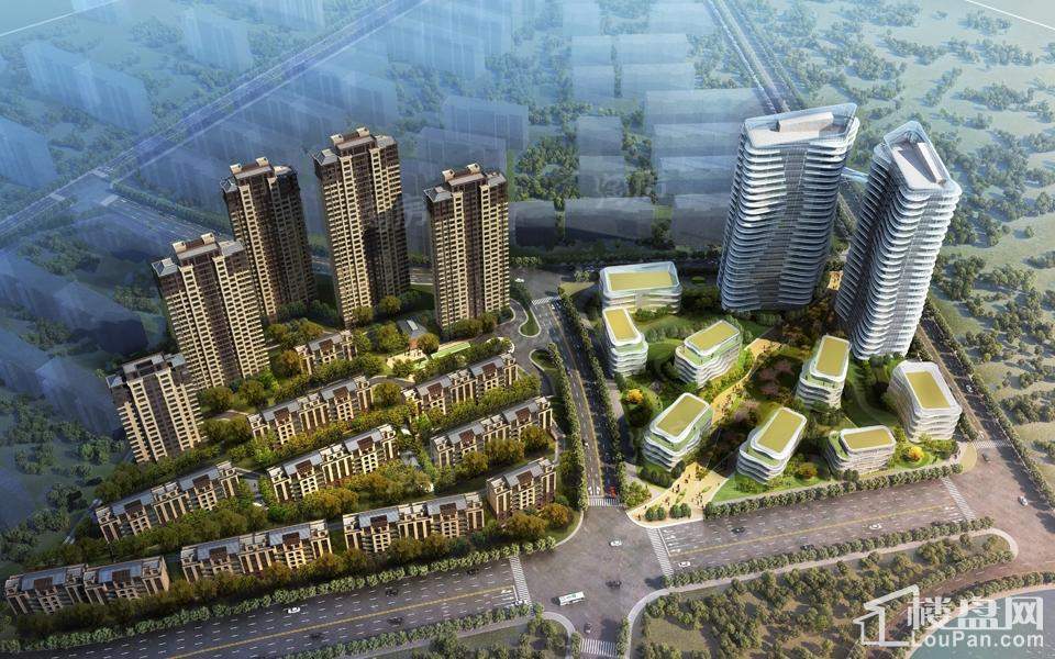 实景图