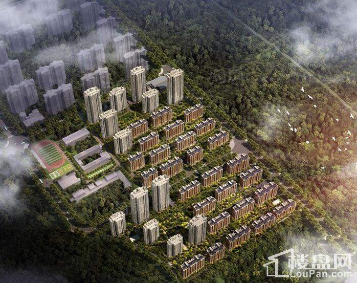 效果图