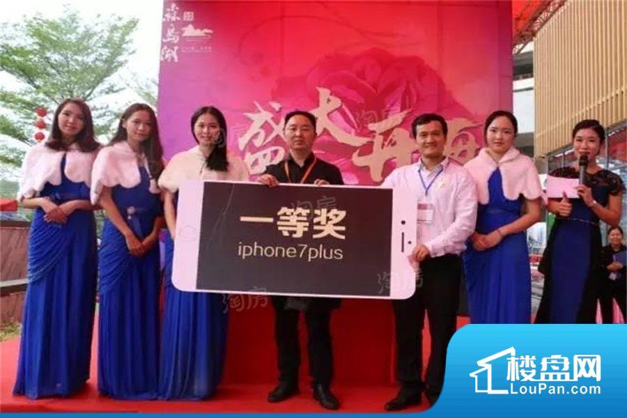 东方文德森岛湖实景图