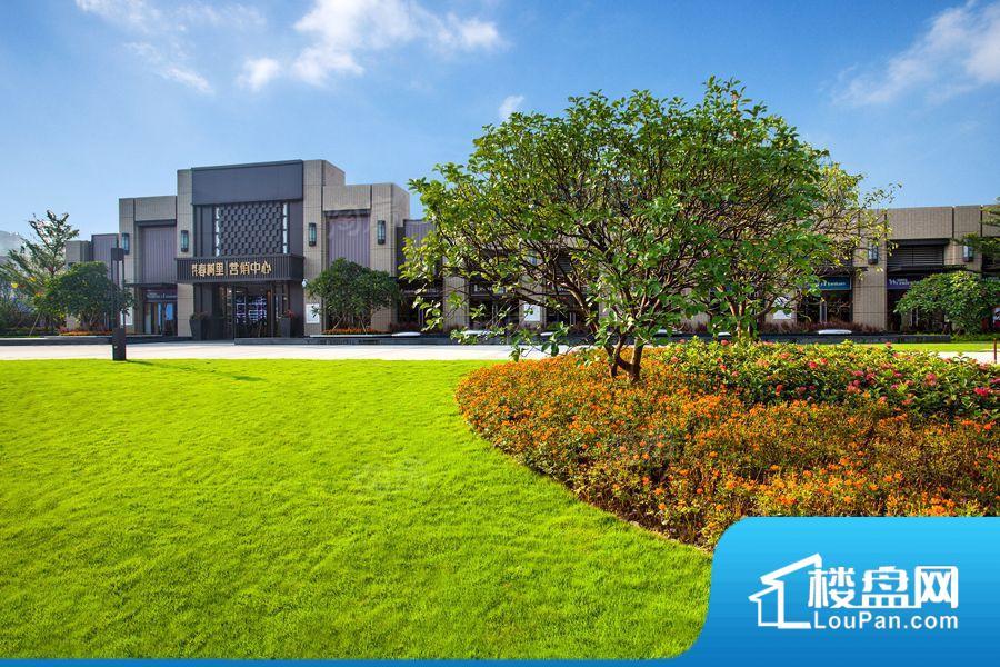 时代春树里效果图