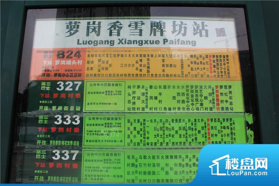 时代春树里效果图