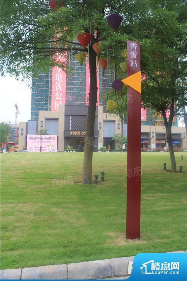 时代春树里效果图