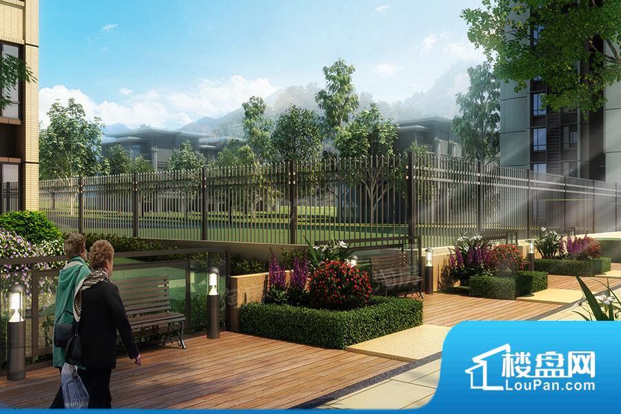 时代春树里效果图