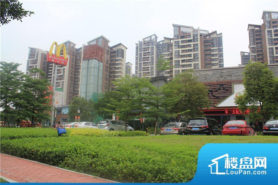 时代春树里效果图