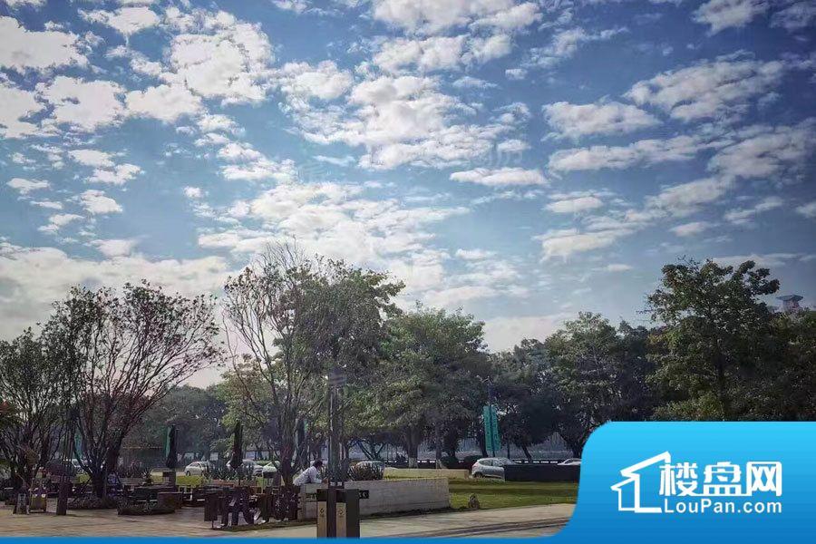 时代水岸效果图