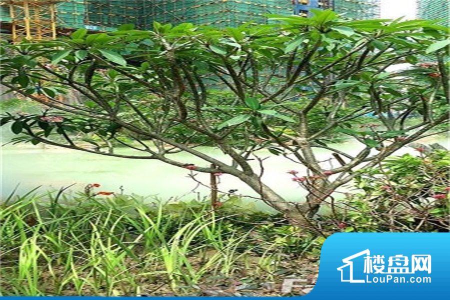 美的花湾城效果图