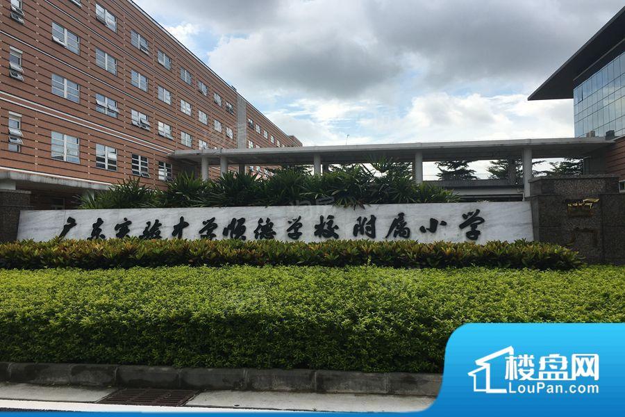 碧桂园·凤凰湾效果图