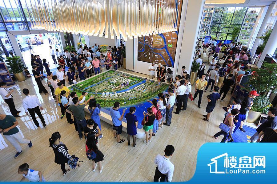 碧桂园·凤凰湾实景图