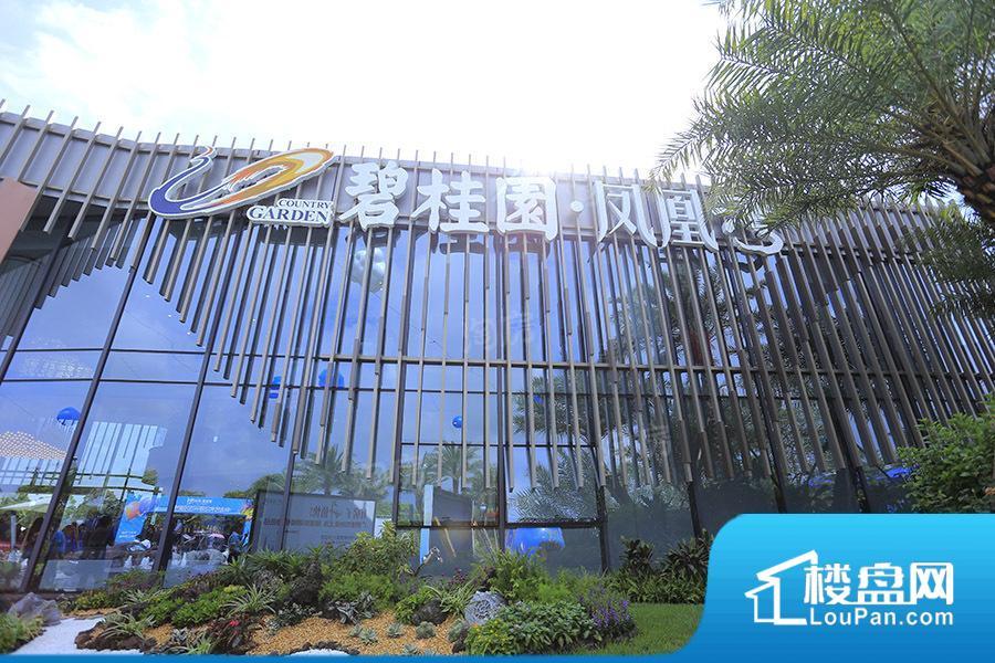 碧桂园·凤凰湾效果图