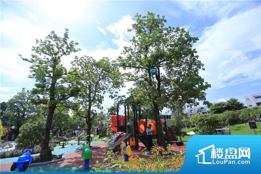 碧桂园·凤凰湾效果图