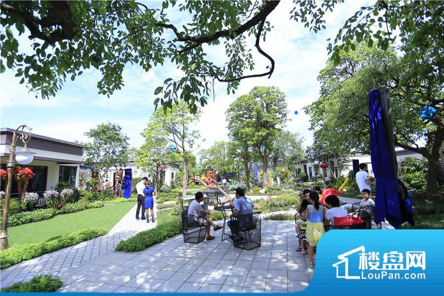 碧桂园·凤凰湾效果图