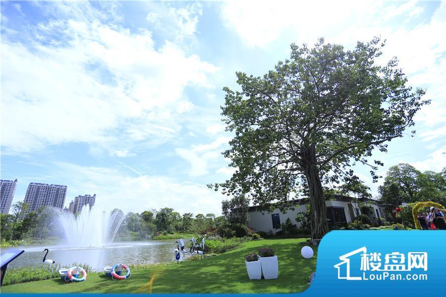 碧桂园·凤凰湾效果图