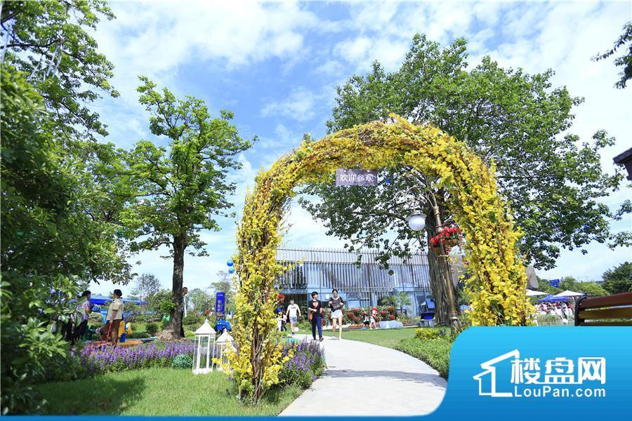 碧桂园·凤凰湾效果图