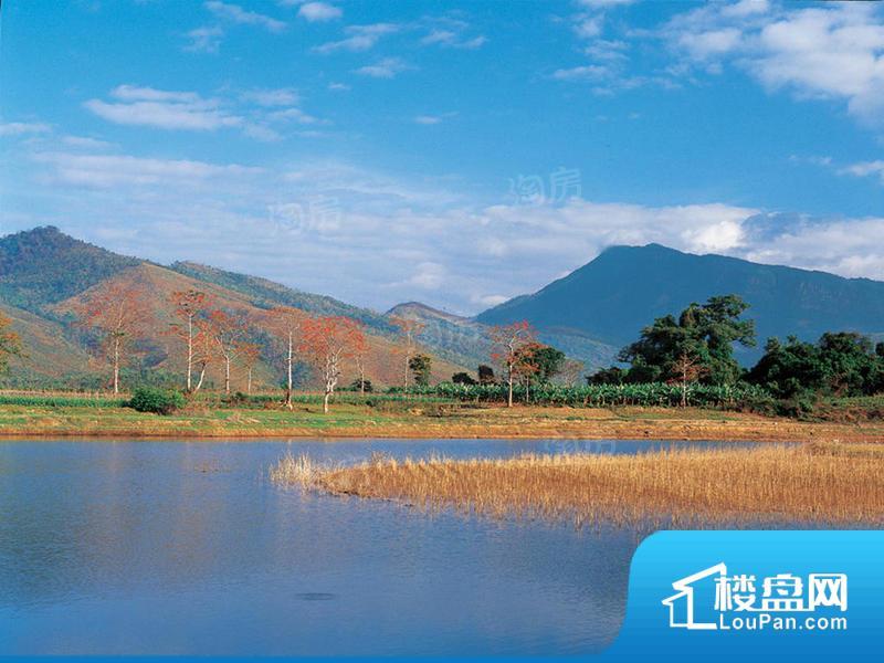 信基•颐和湾效果图
