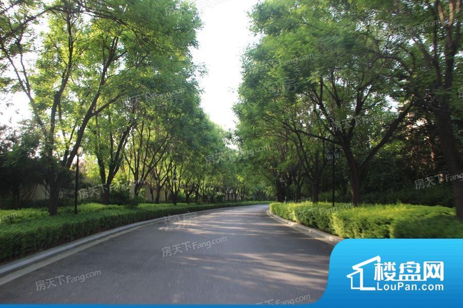 胜利馨苑效果图