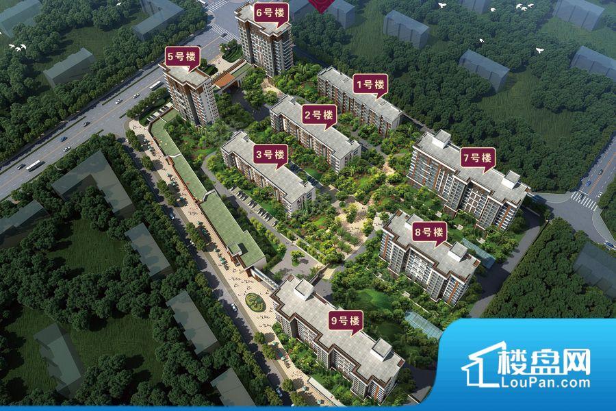 海兰嘉园效果图