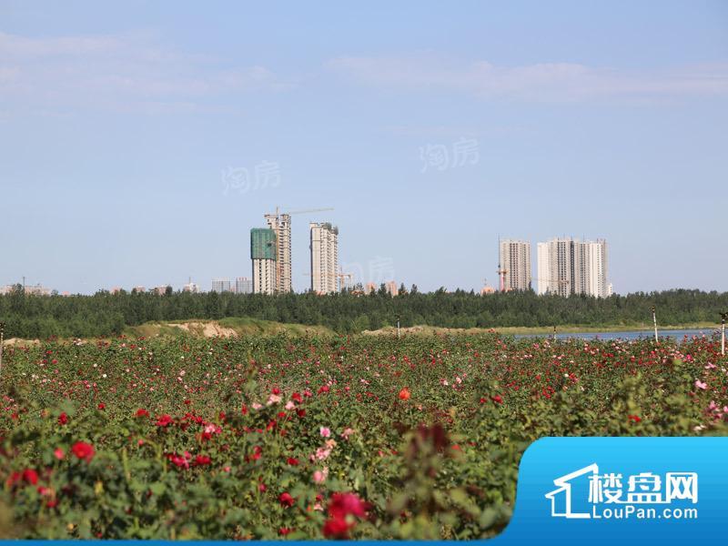 易水龙脉效果图