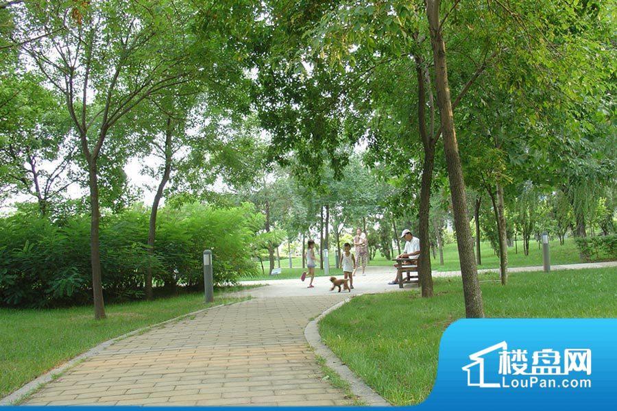 澳景蓝湾效果图