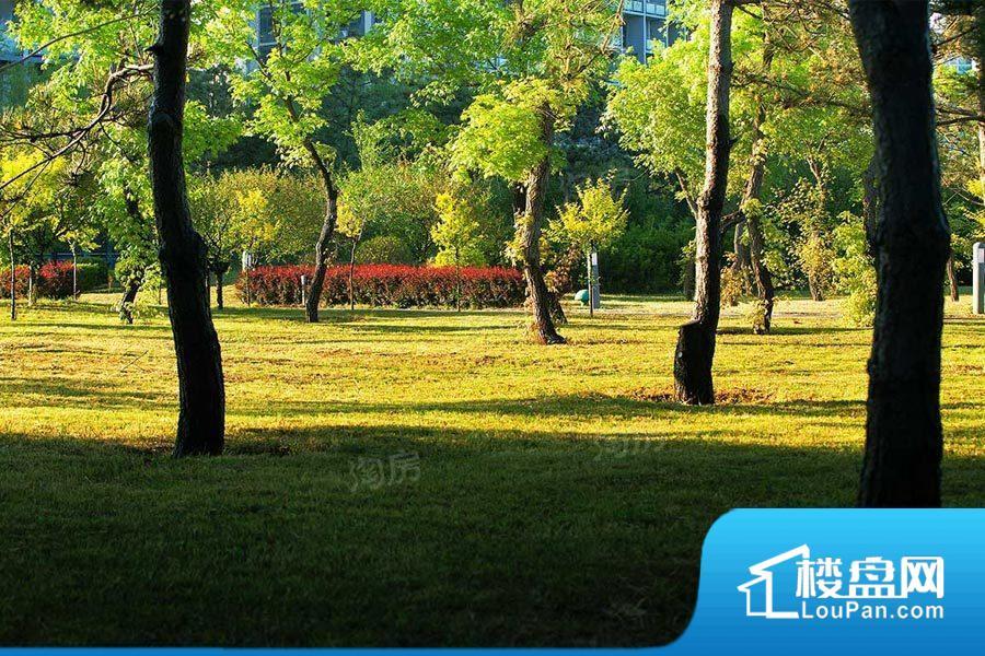 澳景蓝湾效果图