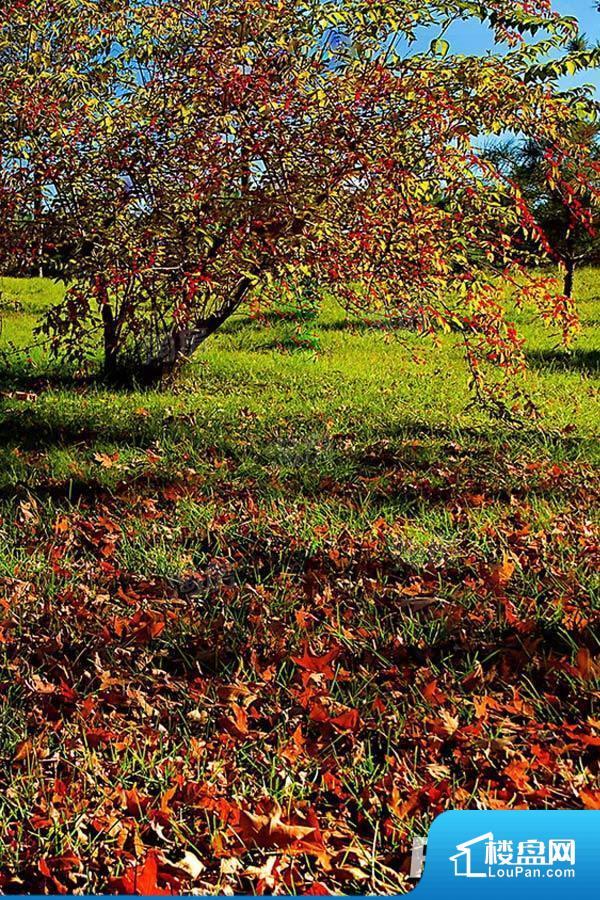 澳景蓝湾效果图