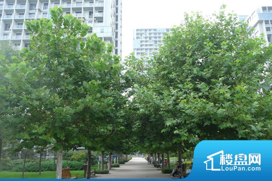 澳景蓝湾效果图