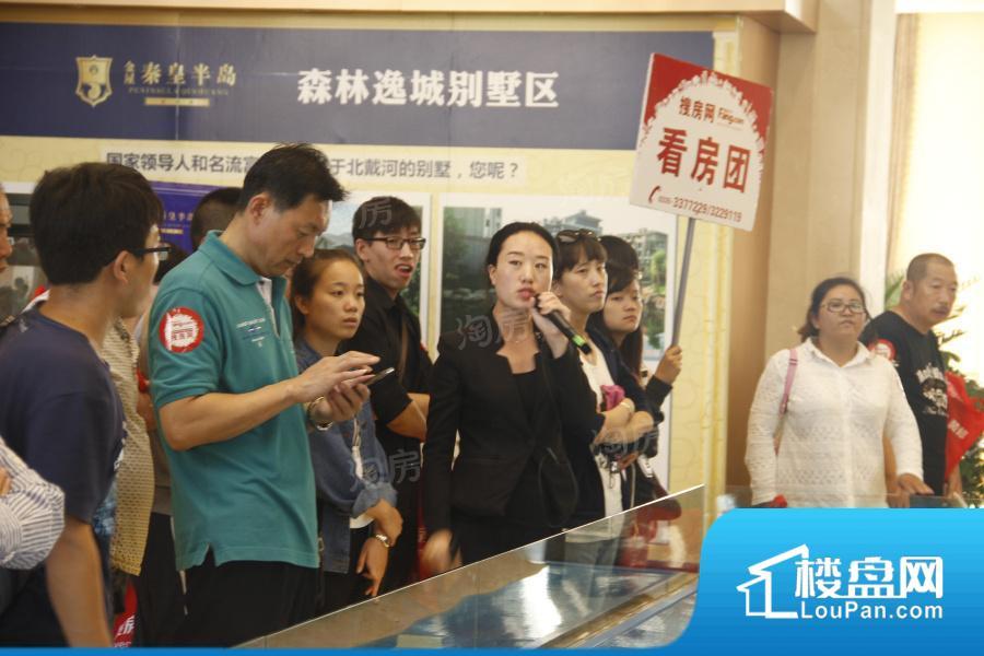金屋秦皇半岛实景图