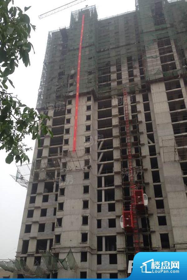 丽景中央b区实景图