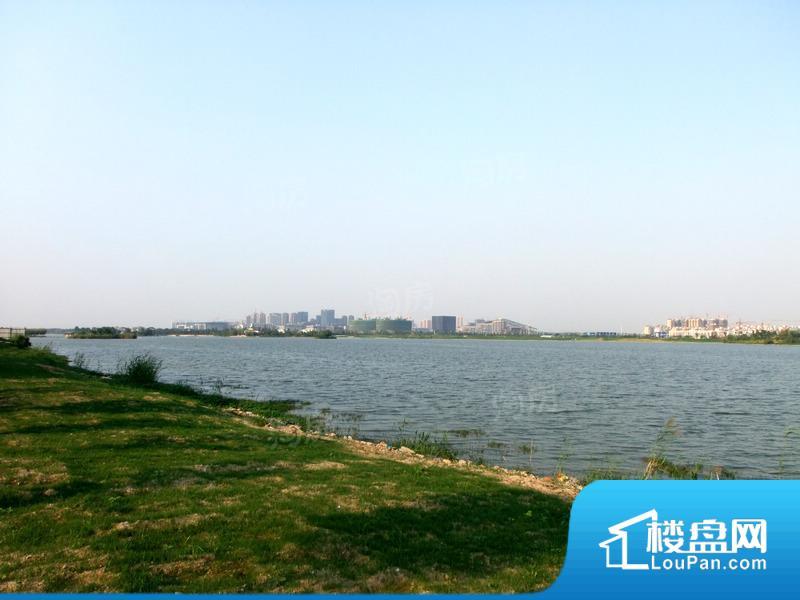 中茵龙湖国际·御墅湾效果图